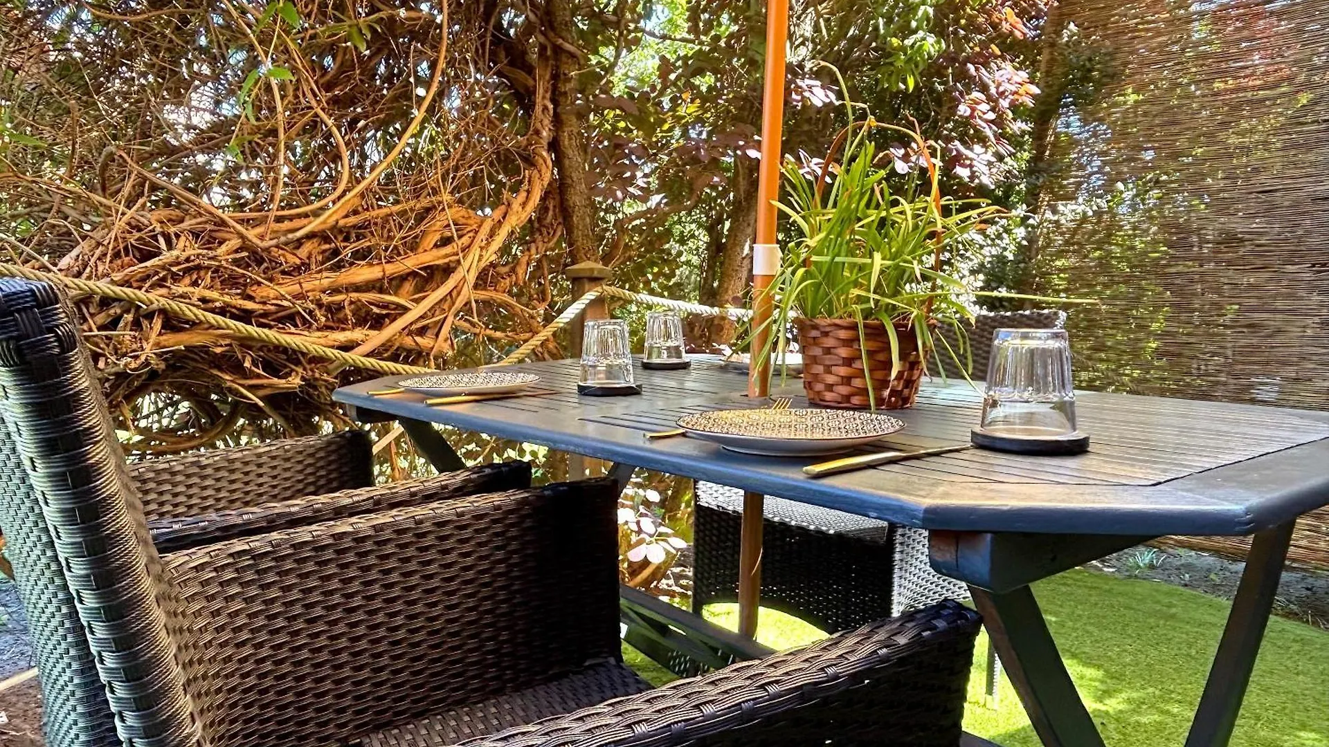 Apartment Berlin | Garden, Terrace, Nature Germania